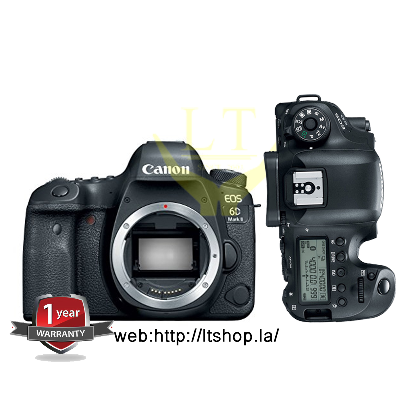 Canon EOS 6D Mark II ボディー EOS6DMK2 Canon EOS 6D Mark II Review